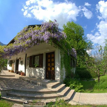 Apartma Bel Zaga Exterior foto